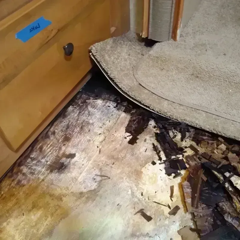 Wood Floor Water Damage in Greenwood County, KS